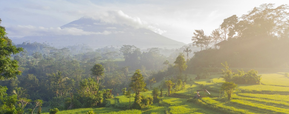 Rizières à Bali avec une montagne en arrière-plan